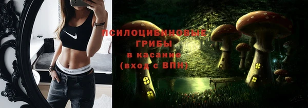 прущая мука Алексин