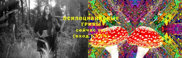 ECSTASY Алексеевка