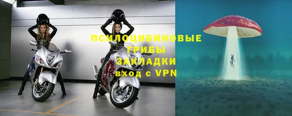 трава Алзамай
