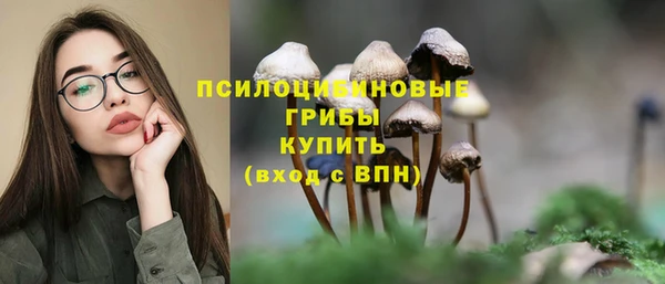 ECSTASY Алексеевка