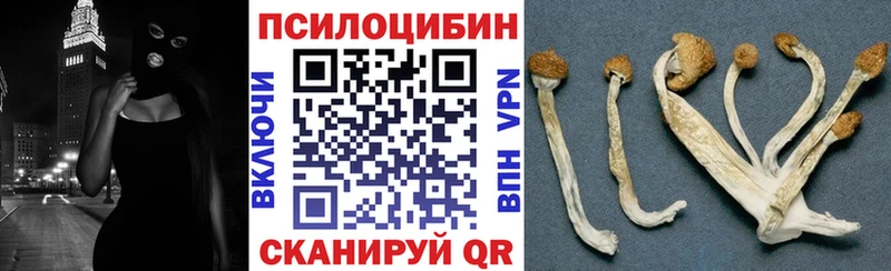 Псилоцибиновые грибы Psilocybine cubensis сколько стоит Добрянка